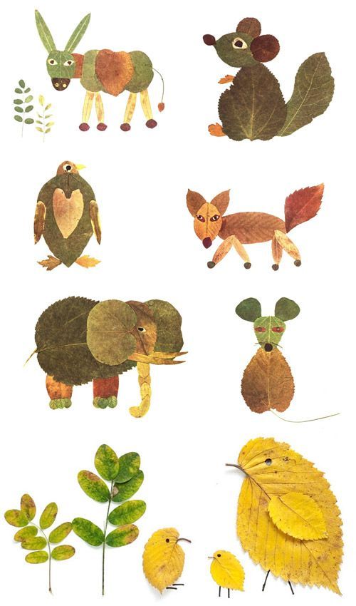 animaux avec des feuilles mortes