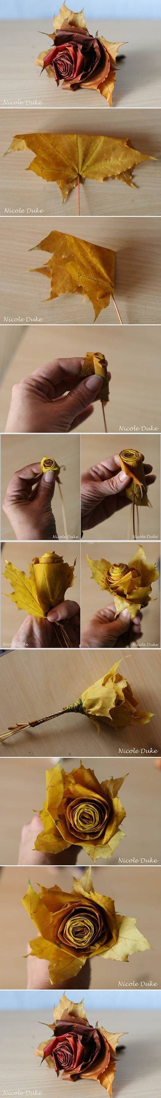 rose à partir d'une feuille morte origami