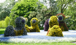 sculpture-de-fleurs-canards