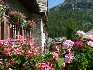 Chalet fleuri Autriche