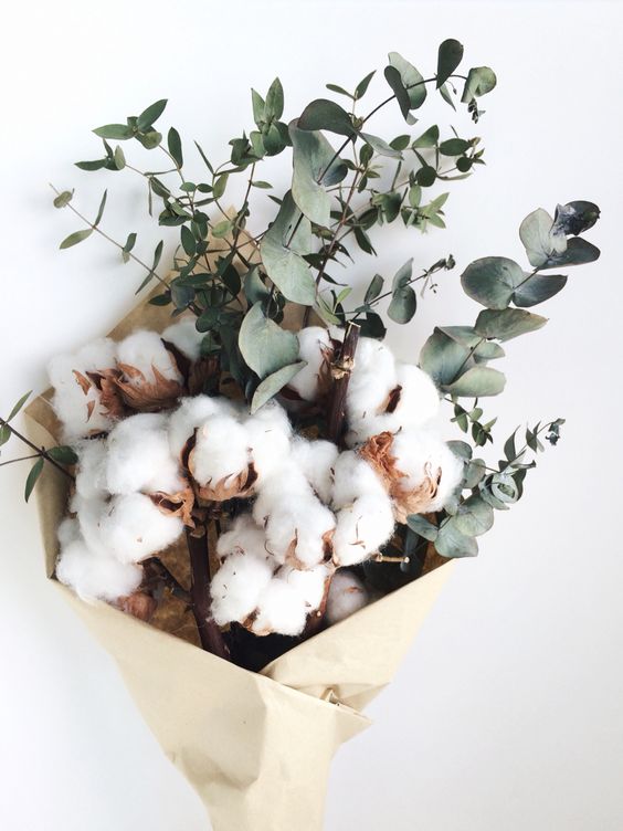 bouquet fleurs de coton et eucalyptus