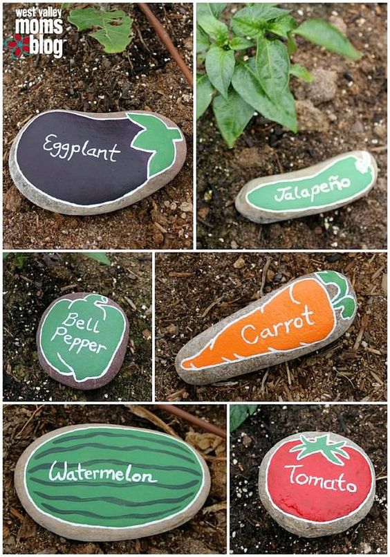 cailloux peints avec noms de plantes