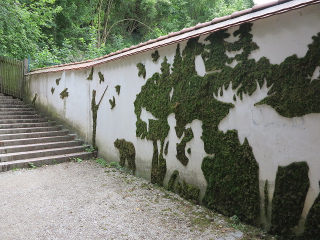 mur végétal en mousse