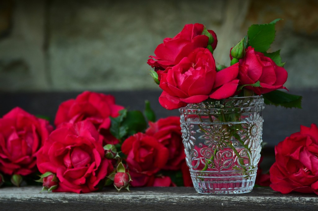 roses rouges dans u vase