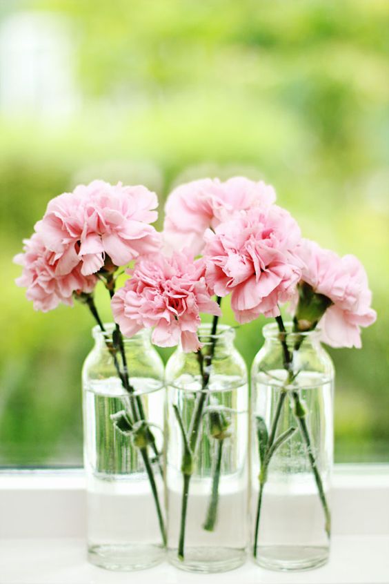 œillets roses dans un vase