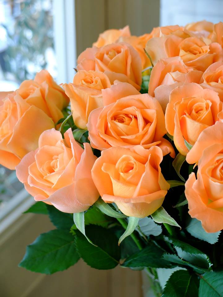bouquet de roses orange