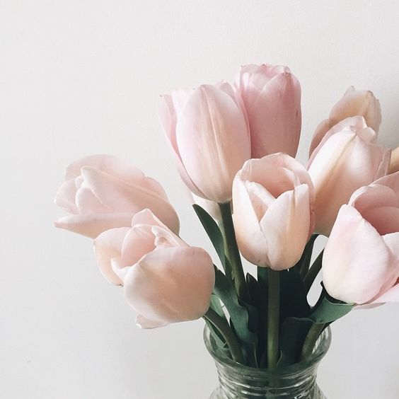 bouquet de tulipes rose pale