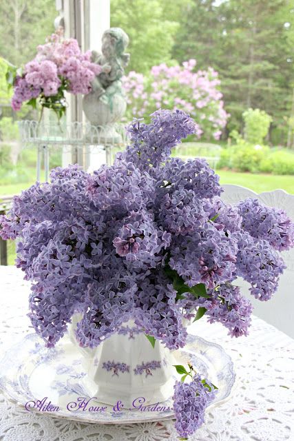bouquet de lilas mauve dans un vase sur une table