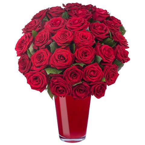 bouquet de 30 roses rouges dans un vase rouge