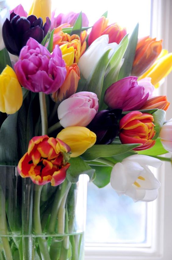 bouquet de tulipes multicolores dans un vase