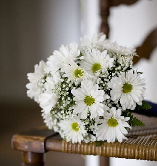 bouquet de gerberas blancs sur une chaise