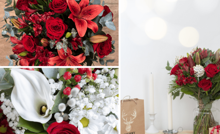 Flower collection Christmas FR 2018