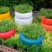 pneus colorés jardin