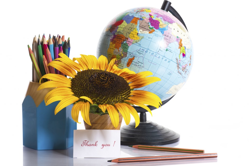 globe with pencils and a sunflower on a white background
