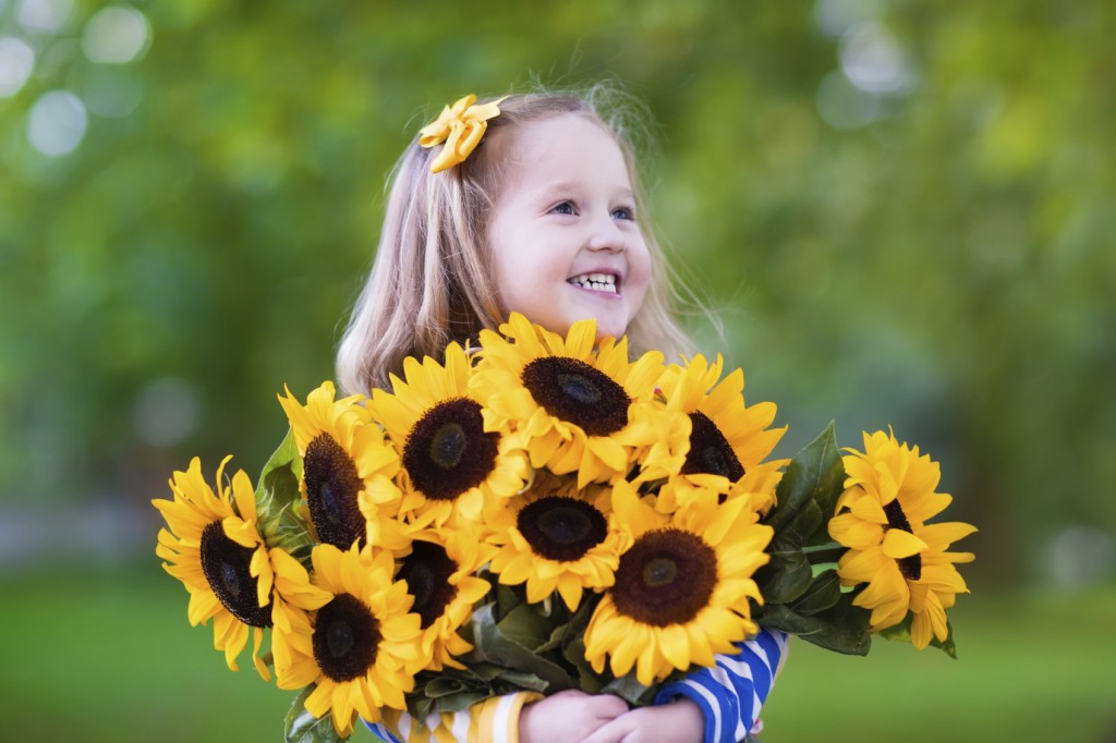 Happy laughing little girl holding sunflower bouquet. Child playing with sunflowers. Kids picking fresh sun flowers in the garden. Children gardening in summer. Outdoor fun for family.