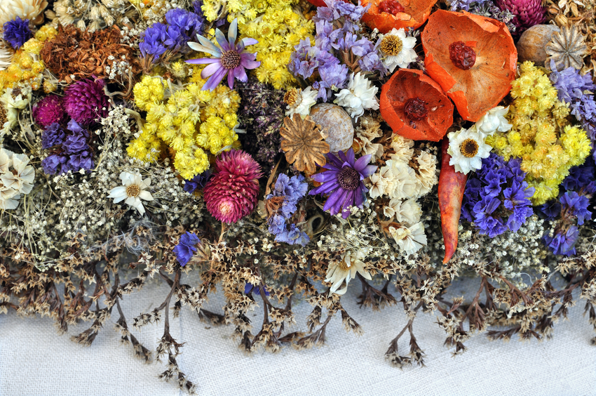 set of wild dried flowers in abstract composition on the canvas