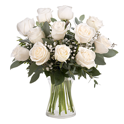 12 białych róż