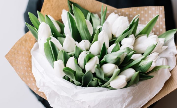 white tulips in a bouquet