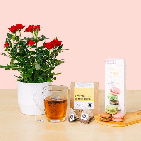 Darling Love: Tee, Macarons und Rosensträucher