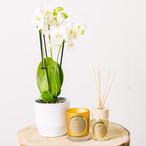 Goldener Mini-Charme: Orchidee, Kerze und Mikado