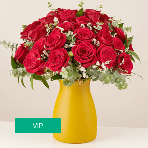 Product photo for Warm Embrace: 24 Red Roses