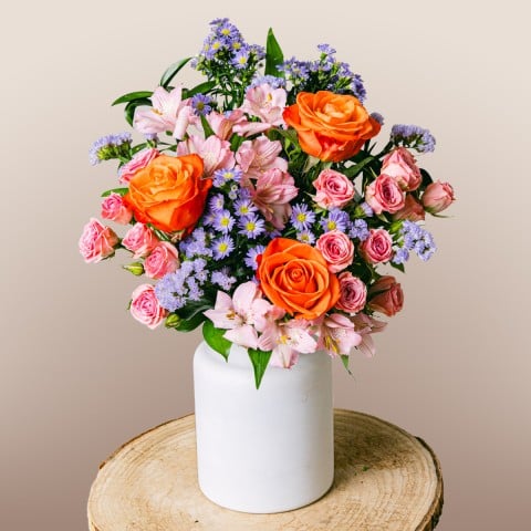 Extra Smiles: Roses et Aster Extra Smiles: Roses et Aster