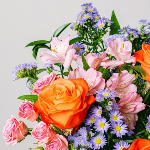 Extra Smiles: Roses et Aster highlight Extra Smiles: Roses et Aster highlight