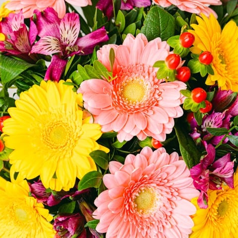 Souhaits Ensoleillés : Gerberas et Alstroemères highlight Souhaits Ensoleillés : Gerberas et Alstroemères highlight